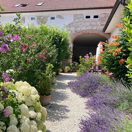 Ferienwohnung Haus Diogenes Mörbisch am See Exterior foto