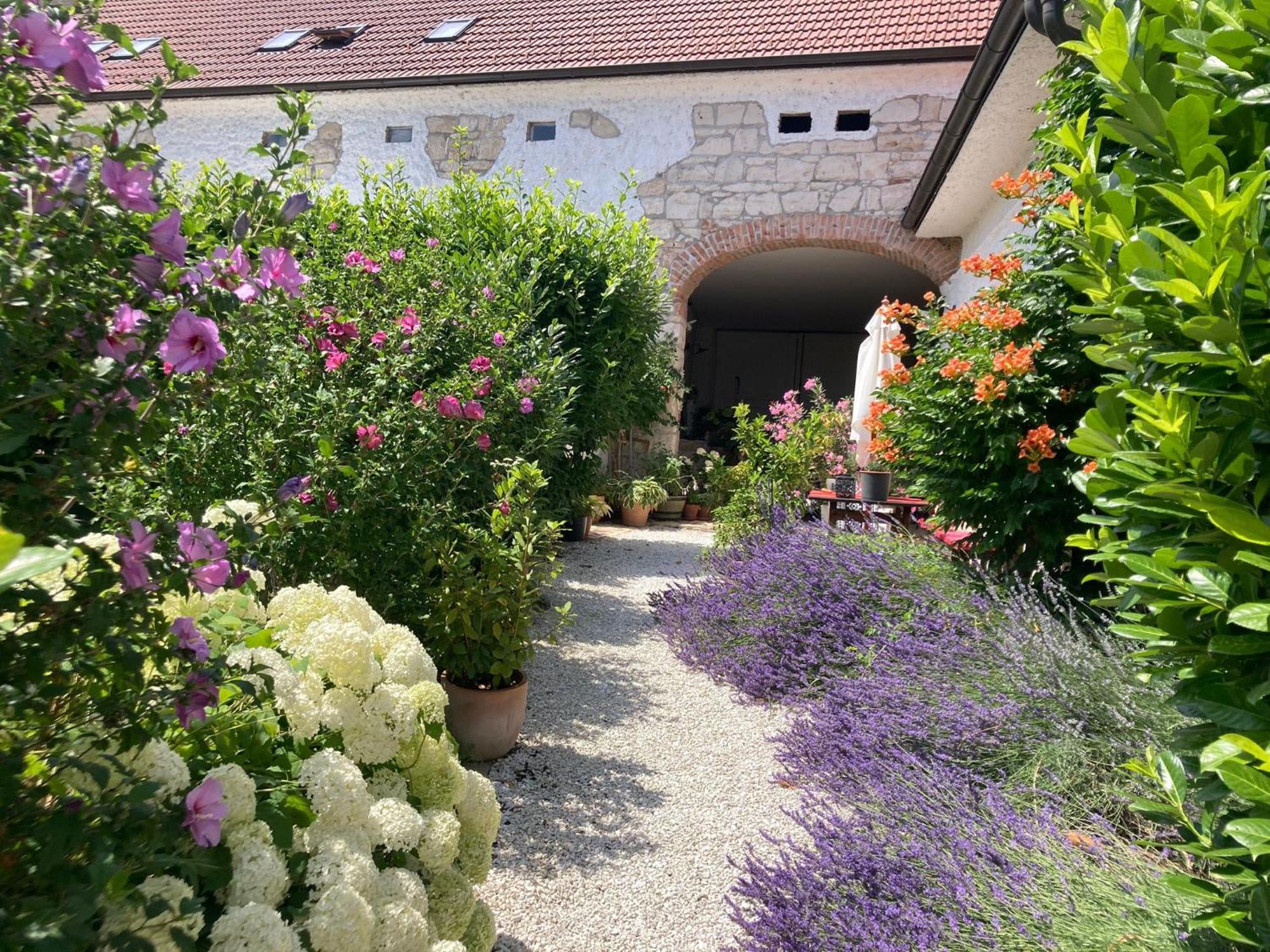 Ferienwohnung Haus Diogenes Mörbisch am See Exterior foto